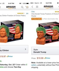 Alternative view of Chia Pet Hillary Clinton with Seed Pack, Decorative Pottery Planter, Easy to Do and Fun to Grow, Novelty Gift, Perfect for Any Occasion
