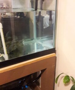 Penn-Plax Cascade All-in-One Aquarium Canister Filter – for Tanks Up to 100 Gallons (265 GPH) – Cascade 1000 Cascade-1000 63 71lHTqwP98L