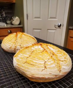 Lodge L8DOLKPLT Cast Iron Dutch Oven with Dual Handles, Pre-Seasoned, 5-Quart,Black 5 Quart 31 71lI4LkaMqL