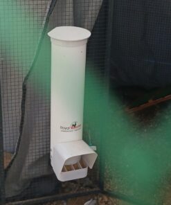 Royal Rooster Chicken Feeder and Waterer Set - Includes 1 Gallon Waterer with 2 Cups and 7lb Feeder for Chickens - Chicken Coop Accessories with Hanging Chicken Poultry Feeder and Chicken Waterer Kit 2-Cup Waterer 35 71lIKqyQYL