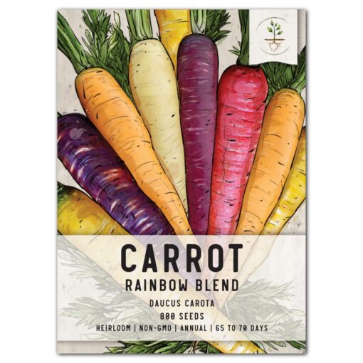 Seed Needs, Kaleidoscope/Rainbow Blend Carrot Seeds for Planting - Single Package of 800 Seeds Each - Heirloom, Non-GMO & Untreated Single Pack (800 Seeds)