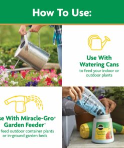 Miracle-Gro Water Soluble All Purpose Plant Food 5 lb. 1 Pack 38 71lKW5bRxsL