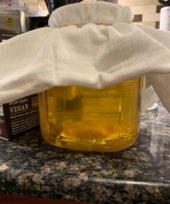 Quarter Cup Florida Sun Kefir Exclusive LIVE Prickly Pear Cactus Nodules Virgin Water Kefir Grains Unused 29 71lNKpBQOfL