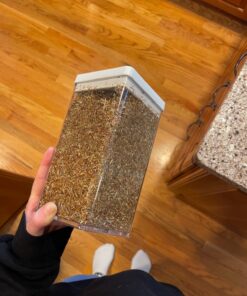 Frontier Co-op Organic Cut & Sifted Saint John's Wort Herb 1lb 17 71lODsUUusL