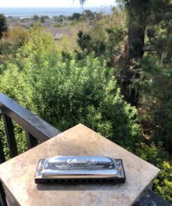 HOHNER 560PBXC Special 20 Diatonic Harmonica, C-major 39 71lOYnq 8ZL