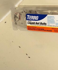 Terro Outdoor Liquid Ant Baits 6 Bait Stations Pack of 2 5 71lPkgjRrwL