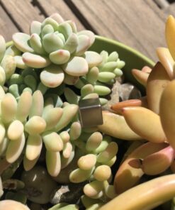 Tungsten Cube - 0.5" 36 71lRLrFhp2L