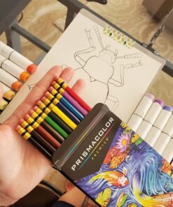 Prismacolor Col-Erase Erasable Colored Pencils, 12 Pack 12 Count (Pack of 1) 51 71lSUEatfCL