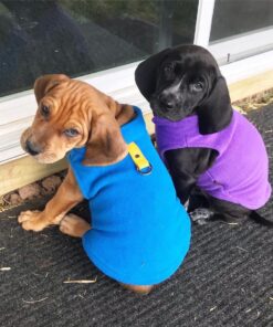 Gooby Fleece Vest Dog Sweater - Lavender, Medium - Warm Pullover Fleece Dog Jacket with O-Ring Leash - Winter Small Dog Sweater Coat - Cold Weather Dog Clothes for Small Dogs Boy or Girl Medium chest (~16") 40 71lUfXF6UAL