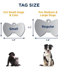 GoTags Stainless Steel Pet ID Tags, Personalized Dog Tags and Cat Tags, up to 8 Lines of Custom Text, Engraved on Both Sides, in Bone, Round, Heart, Bow Tie and More Regular (Pack of 1) 23 71lXm1oFgYL
