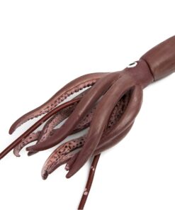 Safari Ltd. Giant Squid Figurine - Realistic 9.5" Sea Creature Figure - Educational Toy for Boys, Girls, and Kids Ages 3+ 22 71lYv9ExFL