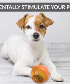 Alternative view of OurPets IQ Treat Ball Interactive Food Dispensing Dog Toy , Assorted Colors IQ TREAT BALL 3"