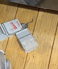 Intruder 30442 The Better Mousetrap, 6-Pack No Size 25 71ldLFyJaWL