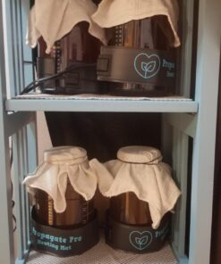 Wrap Around Kombucha Heater Belt | Propagate Pro Brewing and Fermentation Heat Mat Warmer | Keeps Your SCOBY Happy and Productive with Stickon Thermometer 2 3 inch x 20 inch 37 71ldxPMKhL