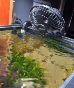 Comfort Zone 6 INCH - 2 Speed - Adjustable Tilt, Whisper Quiet Operation Clip-On-Fan with 5.5 Foot Cord and Steel Safety Grill, Black 25 71leZqSHMqL