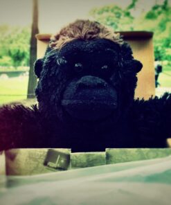 Wild Republic Silverback Gorilla Plush, Stuffed Animal, Plush Toy, Gifts for Kids, Cuddlekins 12 Inches 12 in 26 71lf7gb2NL