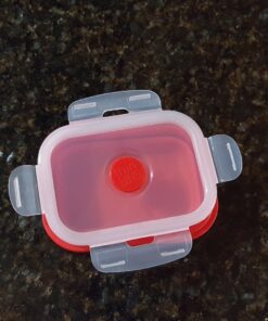 Kitchen + Home Thin Bins Collapsible Containers – Set of 4 Rectangle Silicone Food Storage Containers – BPA Free, Microwave, Dishwasher and Freezer Safe 24 71lhDxhG L