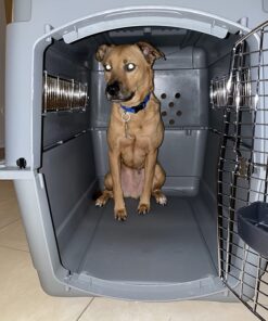 Petmate Sky Kennel Pet Carrier, 36 Inch, Made in USA 36.0"L x 25.0"W x 27.0"H 79 71lhshrrdL