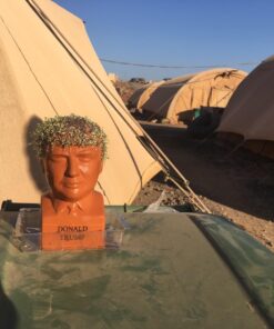 Chia Pet Donald Trump President with Seed Pack, (8" x 4.5" x 7.3") Decorative Pottery Planter, Easy to Do and Fun to Grow, Novelty Gift, Perfect for Any Occasion 49 71litjizwhL 1