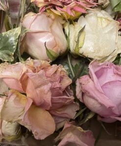 Krylon K01303007 Acrylic Spray Paint Crystal Clear in 11-Ounce Aerosol, Gloss Large Can, 11 Ounce (Pack of 1) 11 Ounce (Pack of 1) Acrylic Crystal Clear 28 71lj0pz5eJL