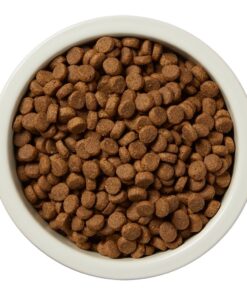 Amazon Brand - Wag Dry Dog Food Beef & Lentil Recipe with Wild Boar, 4 Pound (Pack of 1) 4 Pound (Pack of 1) 11 71lm9wGY5L