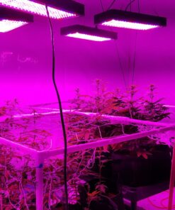 BESTVA 2024 Newest Upgrade 2000W Led Grow Light with High Yield Diodes Full Spectrum LED Grow Lights for Indoor Plants Greenhouse Veg Bloom Light Hydroponic Grow Lamp 36 71lmSJ4AAcL