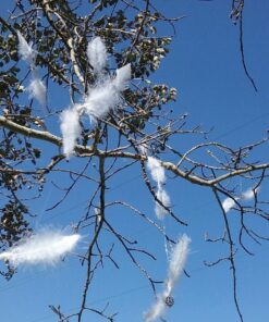 Aokbean Mixed Set of 30 Large Skeleton Keys in Antique Bronze - Set of 30 Keys 38 71lmdUhKFhL