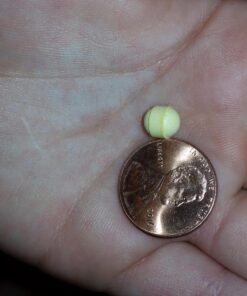 lovebug PROBIOTICS for Kids | Multi-Strain 3 Billion CFU | Constipation & Stomach Discomfort | Sugar Free | Ages 6+ 60 Count (Pack of 1) 34 71lpb4cp4xL 2