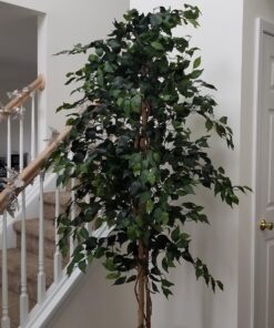 Nearly Natural 7ft. Ficus Artificial Tree, Green 84 in Trees 43 71lqn4EHZmL