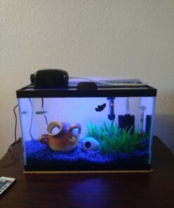 Uniclife Aquarium Air Pump Dual Outlet Fish Tank Aerator with Accessories for Up to 100 Gallon Tank 5 - 30 Gallons 40 71lr80q0g7L