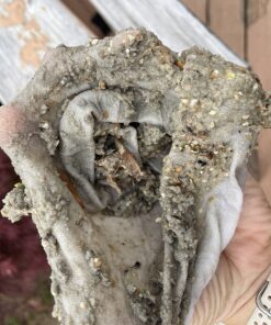 IMPRESA 10-Pack of Pool Skimmer Socks - Excellent Savers for Filters, Baskets, and Skimmers - The Ideal Sock/Net/Saver to Protect Your Inground or Above Ground Pool 30 71lrTUJkKCL