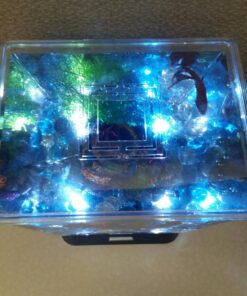 Tetra LED Betta Tank Kit 1 Gallon, Trapezoid aquarium With Base Lighting (24050) 25 71ltYluMghL