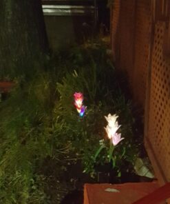 Outdoor Solar Garden Stake Lights - Doingart 2 Pack Solar Powered Lights with 8 Lily Flower, Multi-Color Changing LED Solar Decorative Lights for Garden, Patio, Backyard (Purple and White) Purple & White 17 71ltpo15i9L