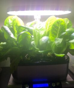 AeroGarden Mixed Romaine Lettuce Seed Pod Kit (6-pod) 6-pod 39 71luZqMS5ZL