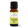 Plant Therapy Ylang Ylang Complete Essential Oil 100% Pure, Undiluted, Natural Aromatherapy, Therapeutic Grade 10 mL (1/3 oz) 0.34 Fl Oz (Pack of 1)