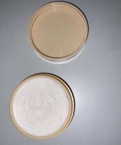 General Pencil General 105-BP Pencil Masters Brush Cleaner & Preserver, 1 Pack, Clear 43 71lxCrum11L