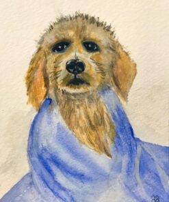 Strathmore 460-55 400 Series Visual Watercolor Journal, 140 LB Cold Press, 5.5"x8", 22 Sheets , White 5.5x8.5 Watercolor 140LB 54 71lxF8g3fAL