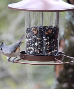 Perky-Pet 312-1SR Outdoor Panorama Wild Bird Feeder - 2 Lb Seed Capacity Brown 44 71ly9O nx5L