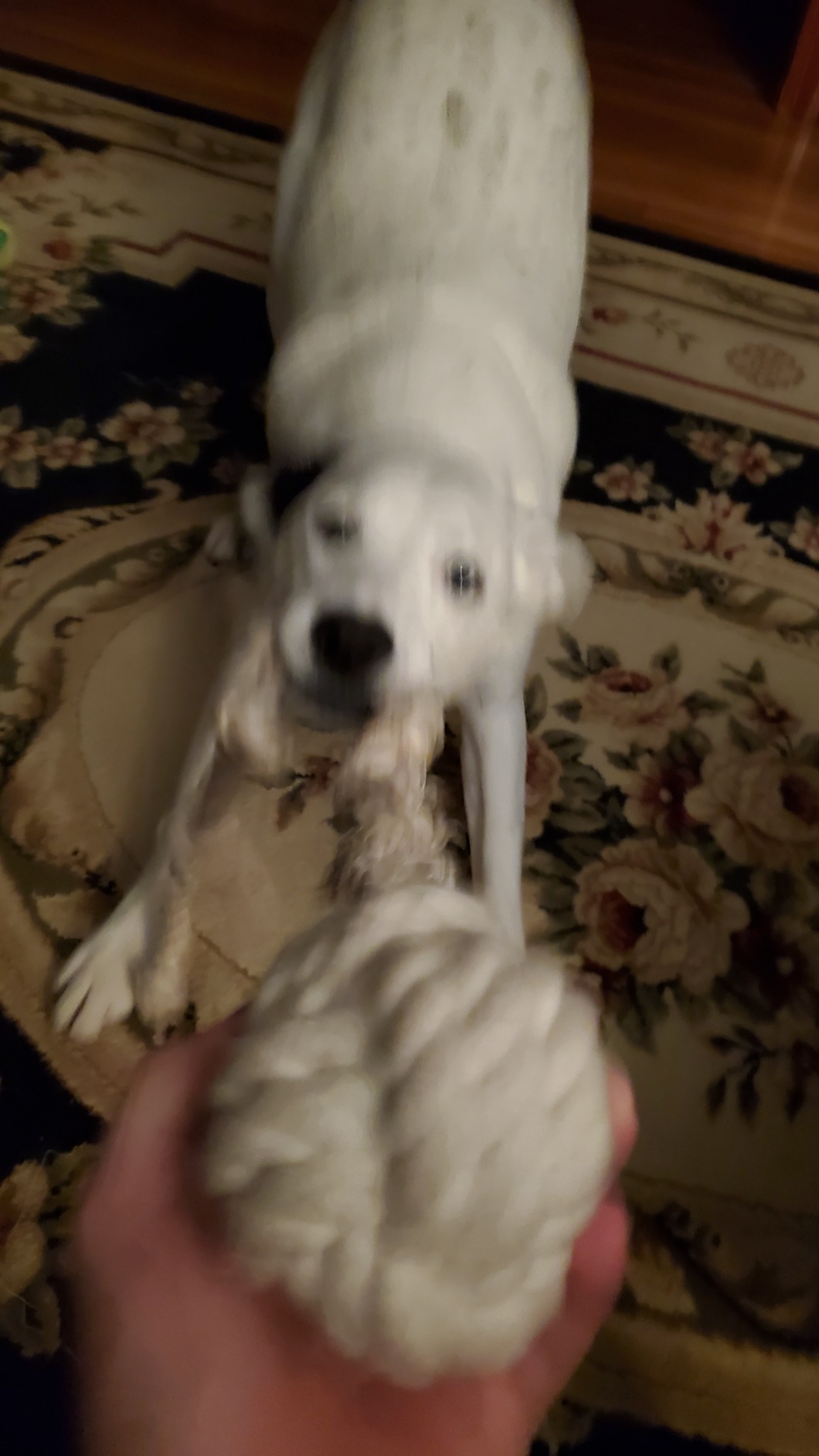 Ravenox Natural Twisted Cotton Rope | Made in The USA | Strong Triple-Strand Cordage for Sports, Décor, Pet Toys, Crafts, Macramé & Indoor Outdoor Use| by The Foot & Diameter (Multiple Color) Natural White 5/8 Inch x 10 Feet 10 Ravenox Natural Twisted Cotton Rope | Made in The USA | Strong Triple-Strand Cordage for Sports, Décor, Pet Toys, Crafts, Macramé & Indoor Outdoor Use| by The Foot & Diameter (Multiple Color) Natural White 5/8 Inch x 10 Feet - Image 10