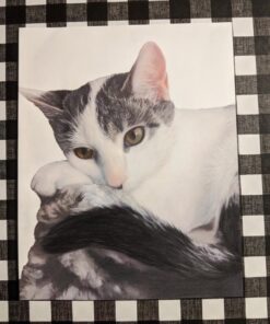 Faber-Castel 110060 Polychromos Colored Pencil Set In Metal Tin, 60 Pieces 60 Count (Pack of 1) 29 71m rfP7R1L