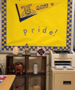 Fadeless Bulletin Board Paper, Fade-Resistant Paper for Classroom Decor, 48” x 50’, Canary, 1 Roll 12 71m1xbPeYoL