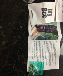 Glass Gem Indian Corn Heirloom Seed - The Most Beautiful Corn in the World! 49 71m2RvRNBLL