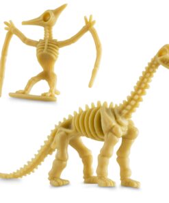 Bedwina Dinosaur Fossil Skeleton - (Pack of 24) 3.7 Inch Assorted Plastic Dino Figure Bones for Kids Science Dig Kit, Digging Sandbox Bins Play Toys, Party Favors, Birthday Decorations 22 71m3As1JOXL