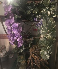 Zoo Med ReptiBreeze Open Air Screen Cage, Extra Large, 24 x 24 x 48-Inches 38 71m3CfoyKxL