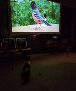 HAPPRUN Projector, Native 1080P Bluetooth Projector with 100''Screen, 9500L Portable Outdoor Movie Projector Compatible with Smartphone, HDMI,USB,AV,Fire Stick, PS5 36 71m3IejtuvL