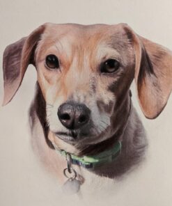 Faber-Castel 110060 Polychromos Colored Pencil Set In Metal Tin, 60 Pieces 60 Count (Pack of 1) 30 71m4ZGCdEUL