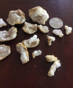 DANCING BEAR Rock, Mineral & Geodes Treasure Hunt Activity Kit (200 Pc Set) Real Shark Teeth Fossils, ID Sheet & Rock Book, STEM Rock, Mineral & Geodes Collection 69 71m5Pa5vQbL