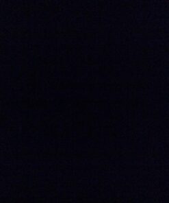 The Revenant: A Novel of Revenge 7 71m6VwtOhL