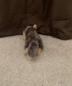 Aurora® Adorable Miyoni® Lying Wolf Stuffed Animal - Lifelike Detail - Cherished Companionship - Gray 11 Inches 16 71m72NU0QTL