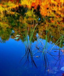 Nikon AF-S FX NIKKOR 16-35mm f/4G ED Vibration Reduction Zoom Lens with Auto Focus for Nikon DSLR Cameras Lens Only 33 71m7PNDJrLL